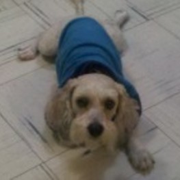 D 994bd614 dea2 4914 8de7 35000231fb20