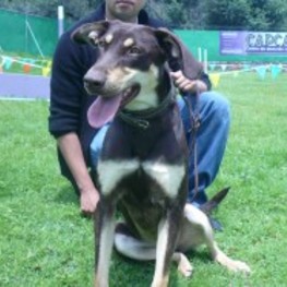 D a8060480 b309 4de1 870f ba47907b845d