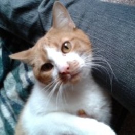 D 7327e878 2fd0 4006 862f 890e1f359140