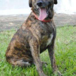 D 39e07edc 9d3b 4714 a00b 2dd8e5c09894