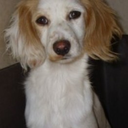 D a7ecde10 1b0e 4dff 9a21 bbac8247186e