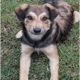 D 2d5208ee 3eeb 44b8 b549 feb16b4f3195