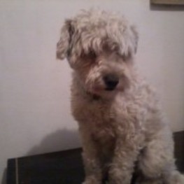 D a3321577 4eb5 453b 8721 3e645e3efdba