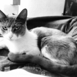 D cf5824b1 8bf6 47ab 874c d424bf9b5b8a