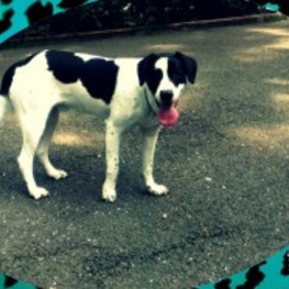 D 38603e69 f5b9 45c2 bee2 5923cd81c985