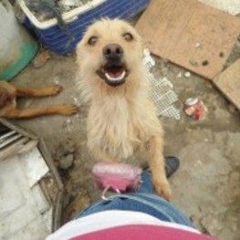 D df807114 8de8 4042 ba58 131fec3cba7c