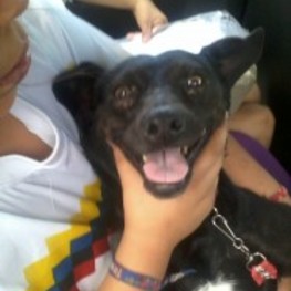 D 5a79170b d0b3 4315 b8d9 69e69687fd5b