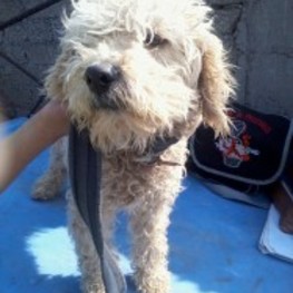 D c553a0f3 4235 4f3c acb5 28a6dbf7517e