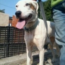 D 8aa5f980 c1e0 4073 9d83 794283295361