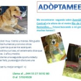 D 0c2c9dff 425e 4b06 a502 01017d4cb335