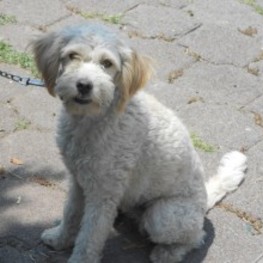 D d5752ef3 5dd6 405e 8f45 7f0d3f5158c2