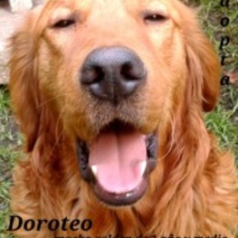 D 83a796eb b0ec 4319 b789 629aa2667811