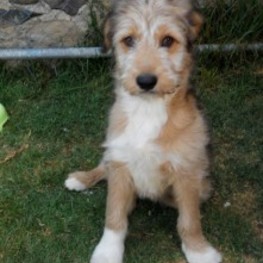 D b3b0f0d9 1916 42d4 a4b5 27411861b1ce