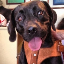 D 727ee053 0bfe 4177 9027 a01ef74267d5