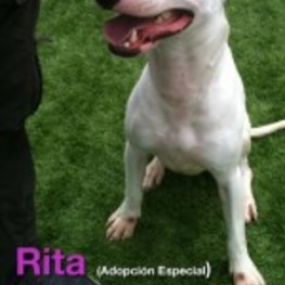 D 0c81d2fe e019 43af b7d6 e7712ea39efa