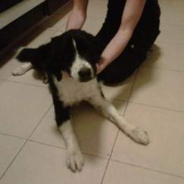 D a04f8e45 8bda 44ad b63f a9c81bde5c09