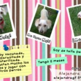 D 5a17977a c771 434e 8060 2cc2f87d96f3