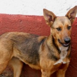 D b197c7a6 af78 44c6 aa19 fff3d62eb584