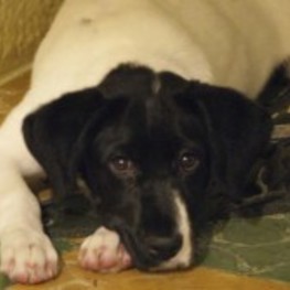 D d9a70cd1 cff7 4c4b 9580 f81084423bb6