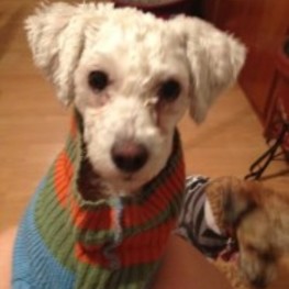 D 387b95a4 0bb0 4ce3 844f cd7d5b9818a1