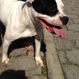 D 6b7a5fb7 6f3b 4a71 a03b a32f1868c87e