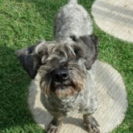 D f91e573d 9eca 4015 a554 f8c71cc23410