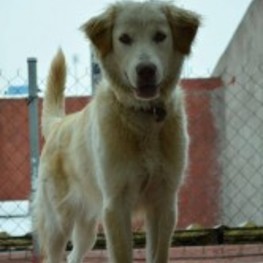 D 35d23626 ca94 4951 9226 3b4441c44c4b