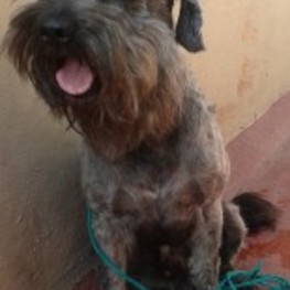 D 895fea54 e212 483d a066 3f469655d373