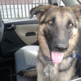 D b61b906f 1aeb 4795 8260 637c49060381