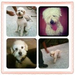 D 78725d48 23d3 4226 93fd 247487f73e85