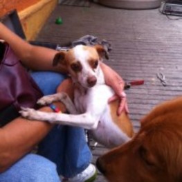 D 9551cdcf f21e 42fc 8834 684c007003d0