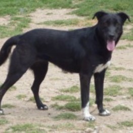 D 14932309 5526 4822 a7f4 8581253d58bc