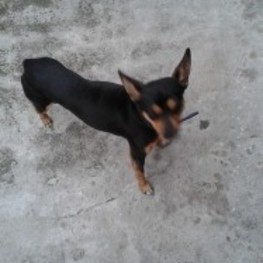 D 4c43c1e5 2378 49d2 aa36 e041b833044d