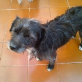 D 740d60a7 420a 4b32 82d4 17ebfb31142f