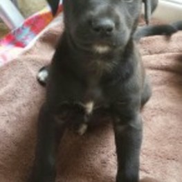 D 60175d55 9fc8 4f4c b180 9a43a806e272