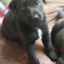 D 209fef2a ffaa 496c acde 4ddef2101b6c