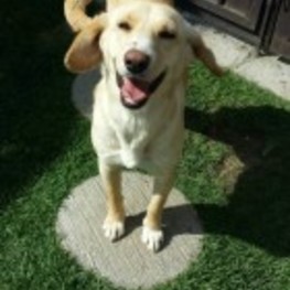 D cd69dc93 8e2c 4844 85ae 9525b9b28da1