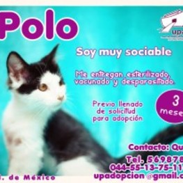 D 030cdda7 80ed 4fd7 8c89 aad7acd44f0c