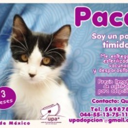 D 3f654d64 9cf5 4ab6 835c 809314888d56