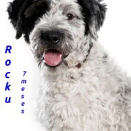 D e842e1c7 231d 47ce bf3d d049a98365aa