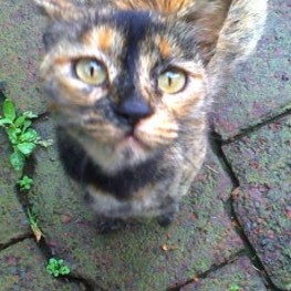 D cf947eda 2f6d 46d8 9464 97e8600090eb