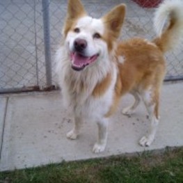 D c8ee6904 2941 45b1 a628 eaf90943e97a