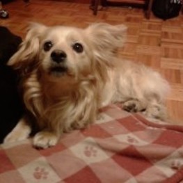 D b21e5777 46e7 448c 9df3 5b45e7dd3419