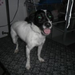 D 096e32fe 25f9 49a2 be61 821e027fedbc