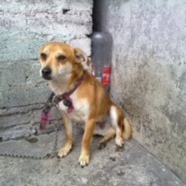 D d8c1c945 2454 4c24 857f e80d88c2aff9