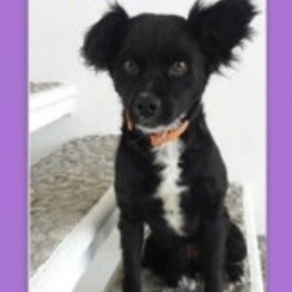 D d1a2aa49 87bc 4330 8ce2 2f72b035dc33