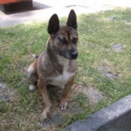 D 0720325d 7d3e 4f23 b323 e708ae8c9c42