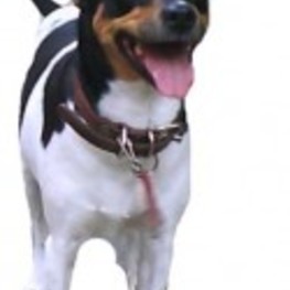 D 6bc905c2 067e 43cf ae26 e1431393a64a