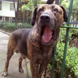 D 27871e15 a2a1 4f1c b96c 855781a3d80b