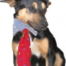 D c8d5db1b e9de 49c7 ba05 8f0630525434